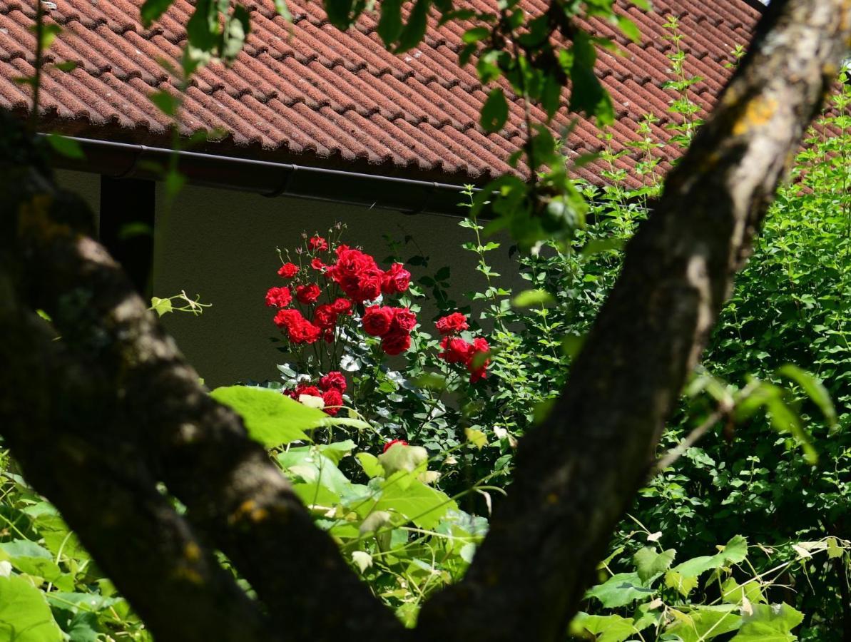Apartment Marija Rakovica